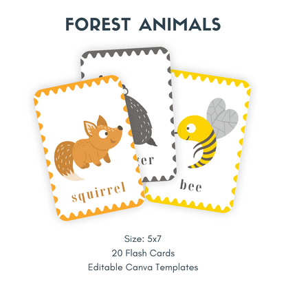 Une niche dans une boîte : cartes flash imprimables 