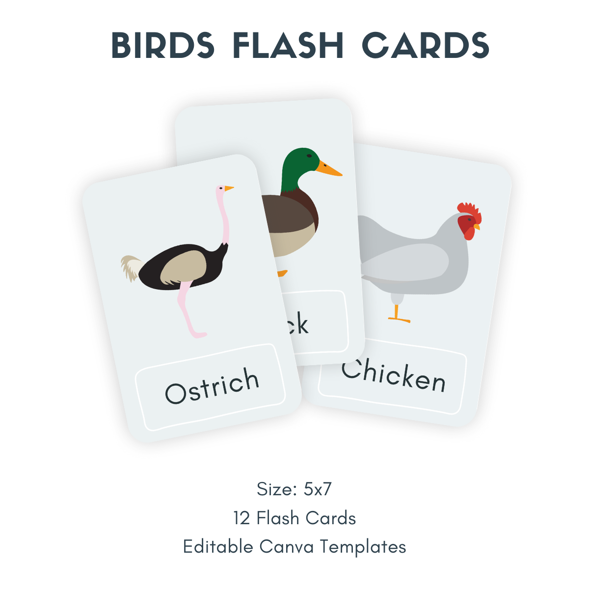 Une niche dans une boîte : cartes flash imprimables 