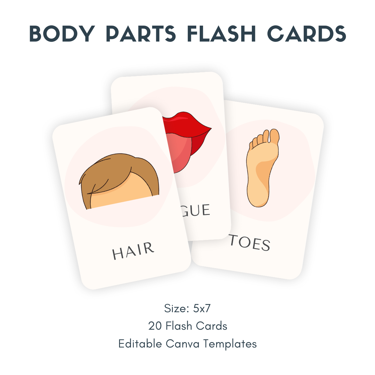 Une niche dans une boîte : cartes flash imprimables 
