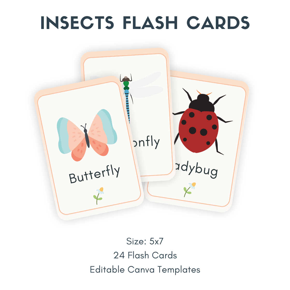 Une niche dans une boîte : cartes flash imprimables 